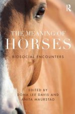 Meaning of Horses