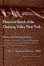 Historical Sketch of the Chemung Valley, New York