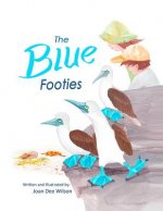 Blue Footies