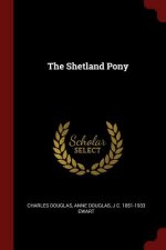 Shetland Pony