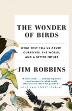 Wonder of Birds