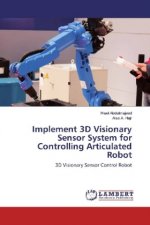Implement 3D Visionary Sensor System for Controlling Articulated Robot