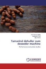 Tamarind dehuller cum deseeder machine