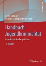 Handbuch Jugendkriminalitat