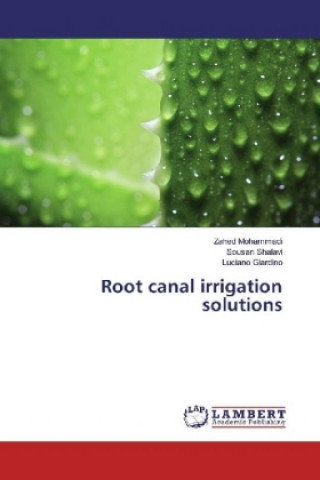 Root canal irrigation solutions