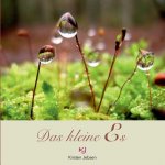 kleine Es
