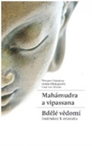 Mahámudra a vipassana Bdělé vědomí
