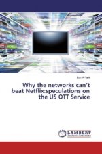 Why the networks can't beat Netflix:speculations on the US OTT Service