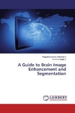 A Guide to Brain Image Enhancement and Segmentation