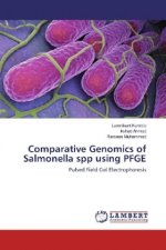 Comparative Genomics of Salmonella spp using PFGE