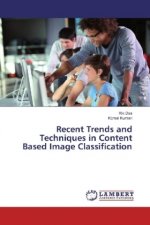 Recent Trends and Techniques in Content Based Image Classification