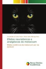 Efeitos neurotoxicos e analgesicos do meloxicam