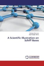 A Scientific Illustration on Schiff Bases