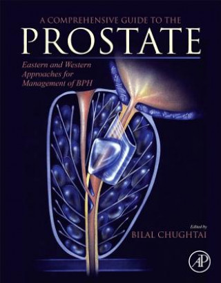 Comprehensive Guide to the Prostate