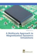 Multiscale Approach to Magnetization Dynamics Simulations