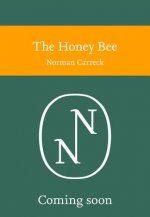 Honey Bee