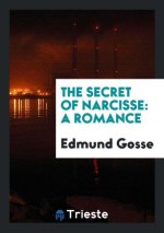 Secret of Narcisse