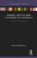 Amoris Laetitia and the spirit of Vatican II
