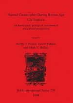 Natural Catastrophes During Bronze Age Civilisations