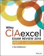 Wiley CIAexcel Exam Review 2018, Part 1