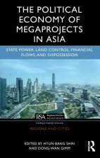 Political Economy of Mega Projects in Asia