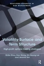 Volatility Surface and Term Structure