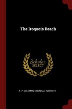 Iroquois Beach