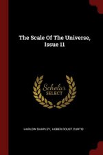 Scale of the Universe, Issue 11
