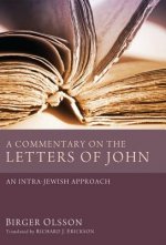 Commentary on the Letters of John