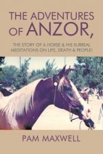 Adventures of Anzor
