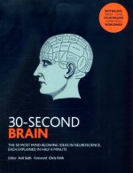 30-Second Brain
