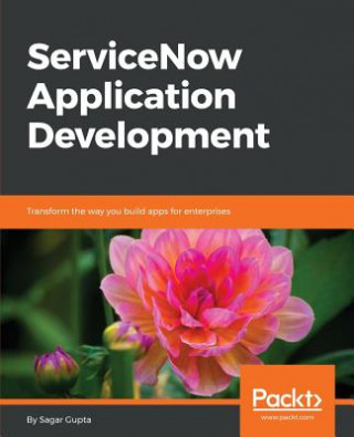 ServiceNow Application Development