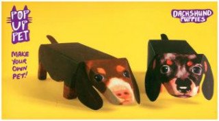 Pop Up Pet Dachshund Puppies