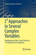 L(2) Approaches in Several Complex Variables
