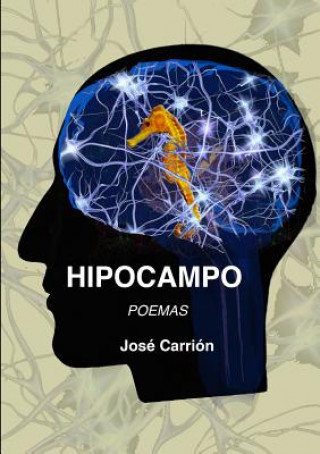 Hipocampo