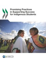 Promising practices in supporting success for indigenous students