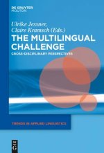 Multilingual Challenge
