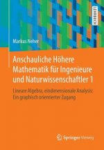 Anschauliche Hoehere Mathematik Fur Ingenieure Und Naturwissenschaftler 1
