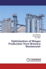 Optimization of Biogas Production from Brewery Wastewater