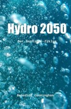 Hydro 2050