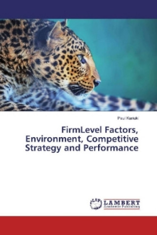 FirmLevel Factors, Environment, Competitive Strategy and Performance
