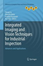 Integrated Imaging and Vision Techniques for Industrial Inspection