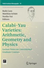Calabi-Yau Varieties: Arithmetic, Geometry and Physics