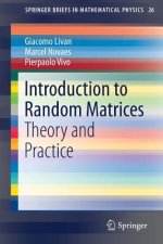 Introduction to Random Matrices
