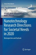 Nanotechnology Research Directions for Societal Needs in 2020