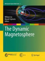 Dynamic Magnetosphere