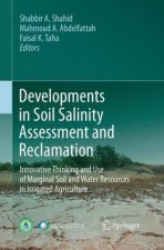 Developments in Soil Salinity Assessment and Reclamation