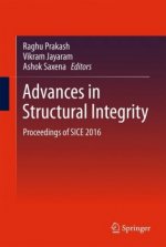Advances in Structural Integrity