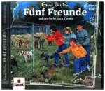 Fünf Freunde auf der Suche nach Timmy, 1 Audio-CD