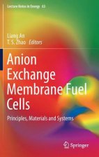Anion Exchange Membrane Fuel Cells